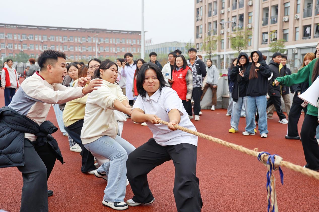 图 (15)