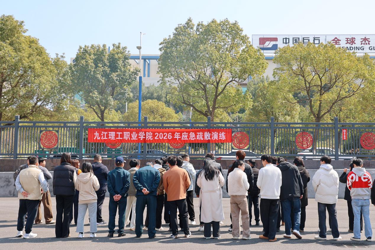 图 (11)